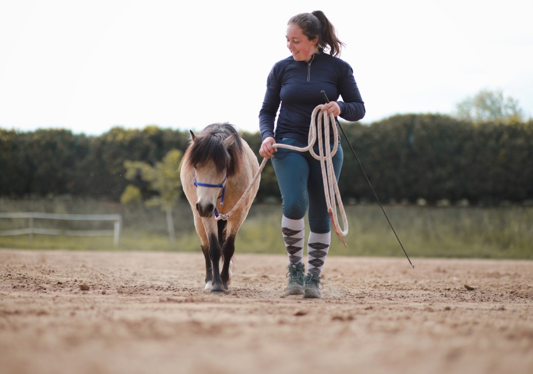 Cours d'équitation